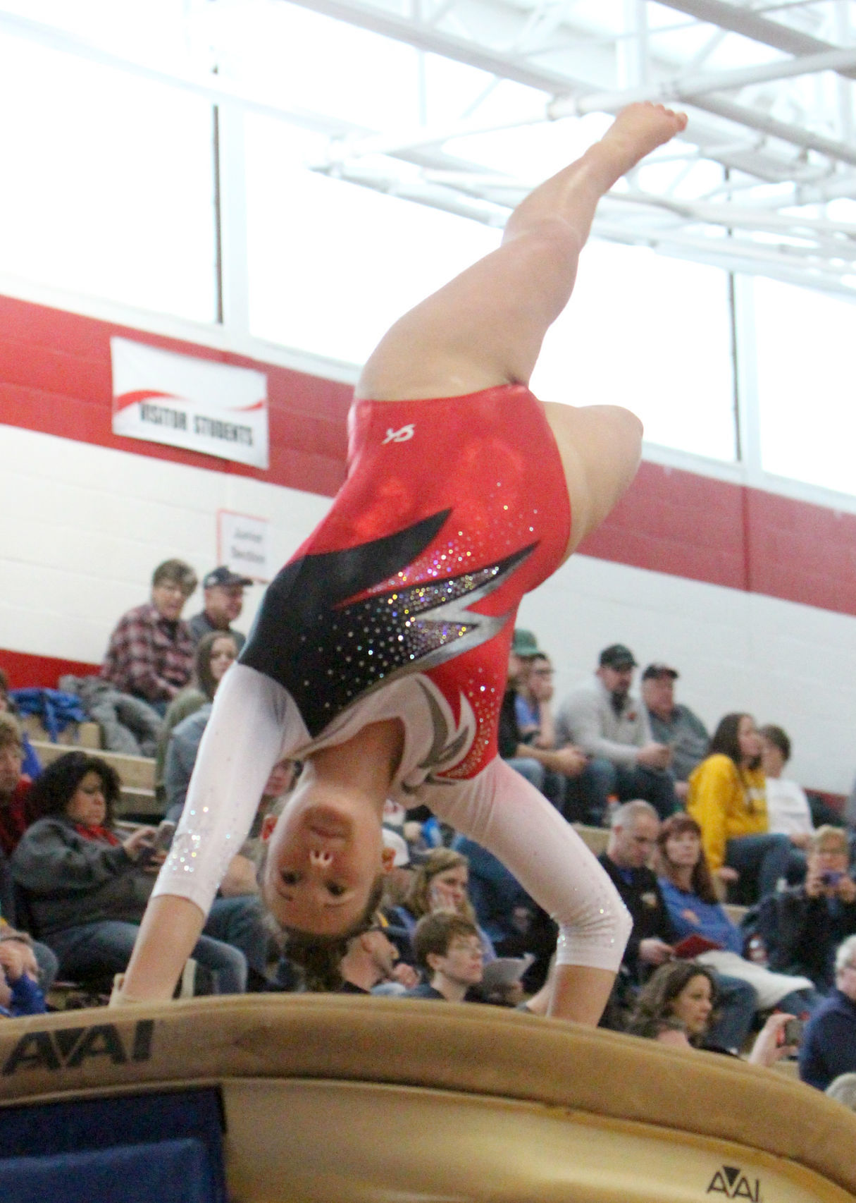 Big Rivers Conference Gymnastics Meet at Chippewa Falls 2-16-19